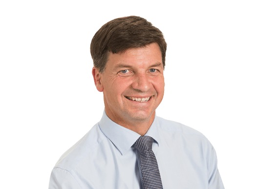 angus taylor minister for energy